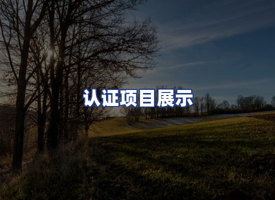 认证项目展示